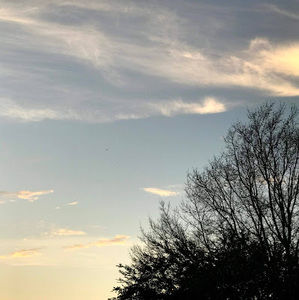 Meet your Posher, Lilly